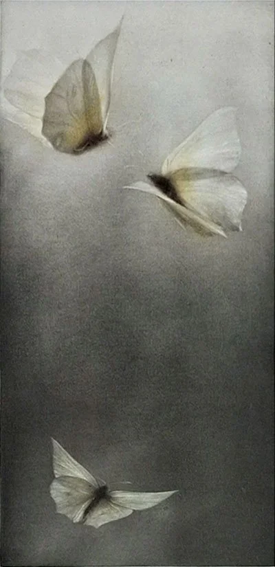 Voltige III (Acrobatics III)