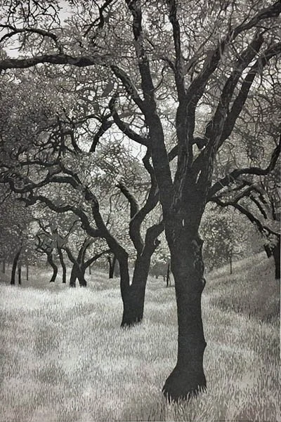 Summer Afternoon APV.jpg