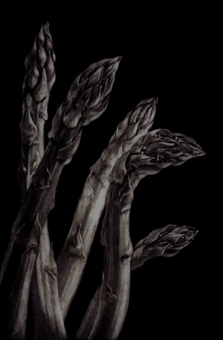 Asparagus_2.jpg