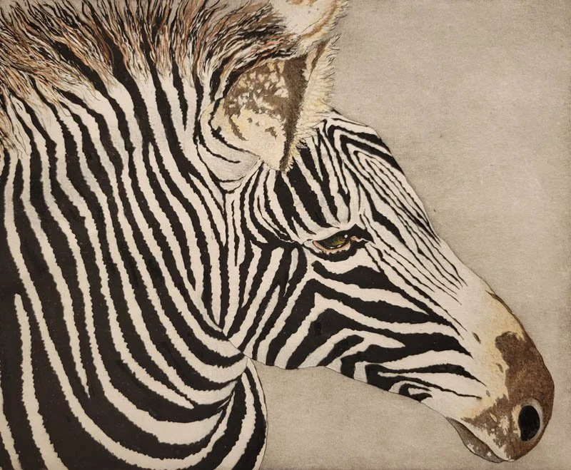 Charles_Grevy's_Zebra.jpg