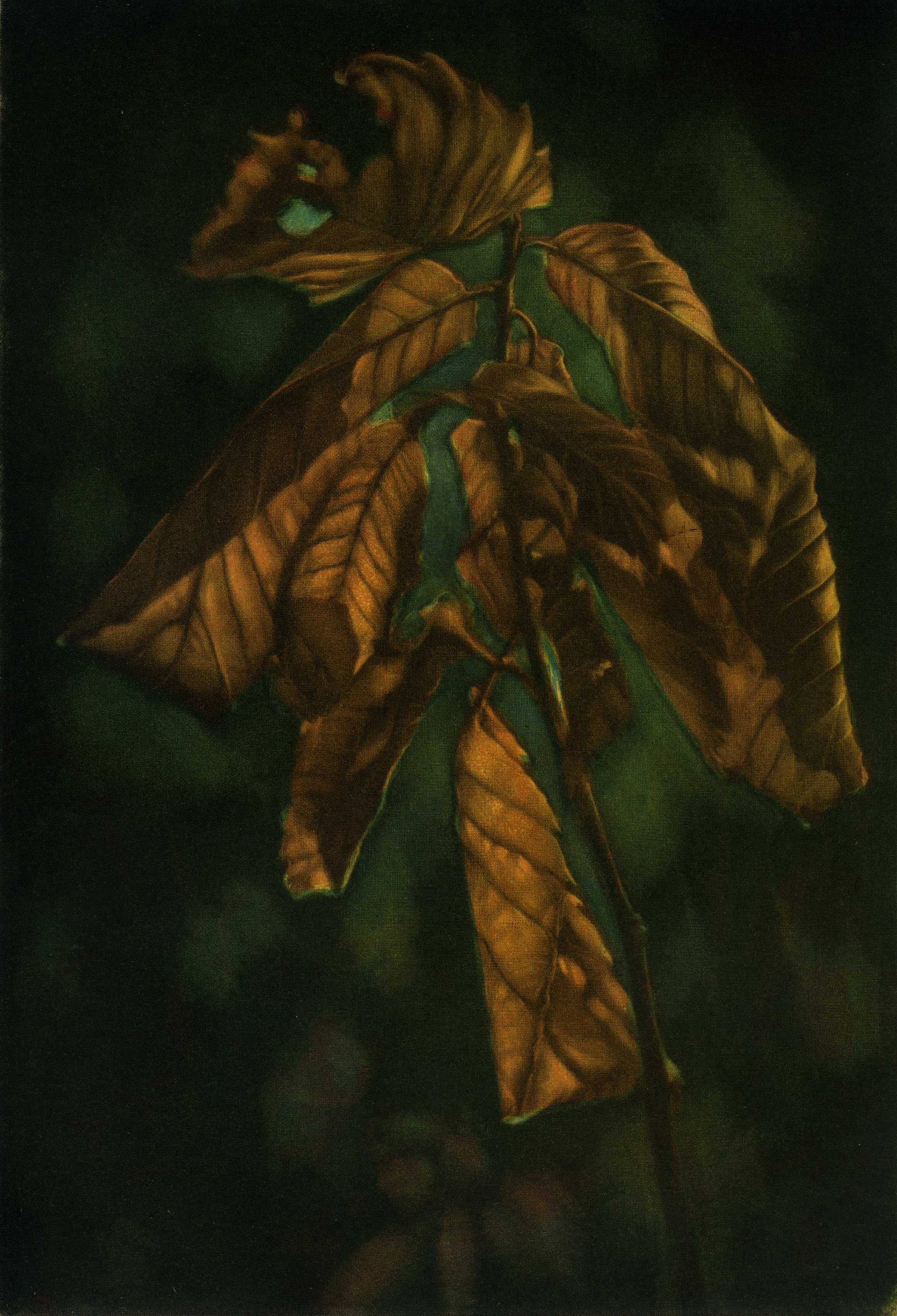 Automne.jpg