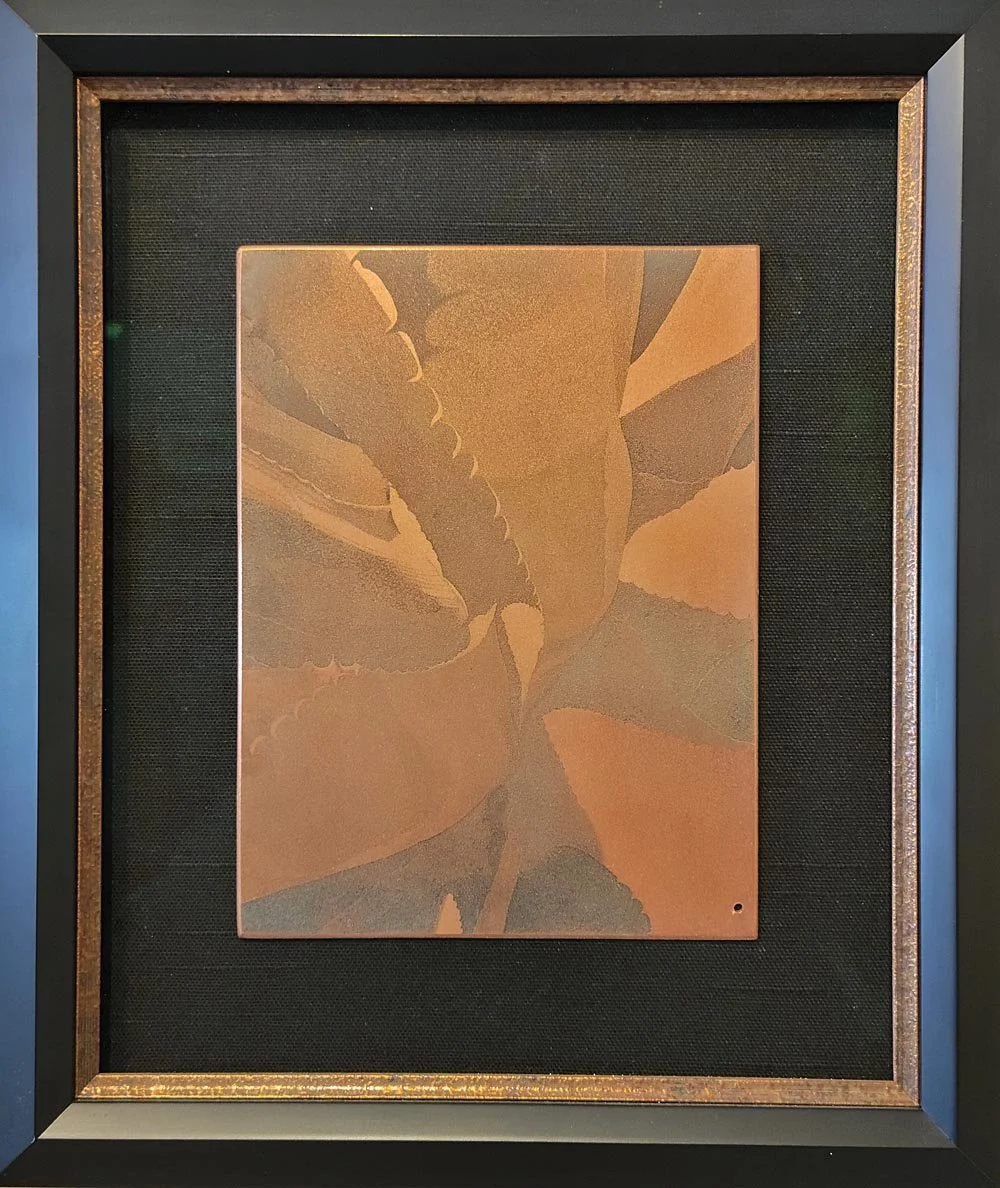 Century_Plant_copper_plate_gyrl-lb.jpg