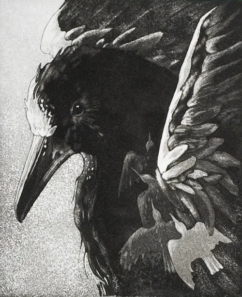 birds_Eye_view.JPG
