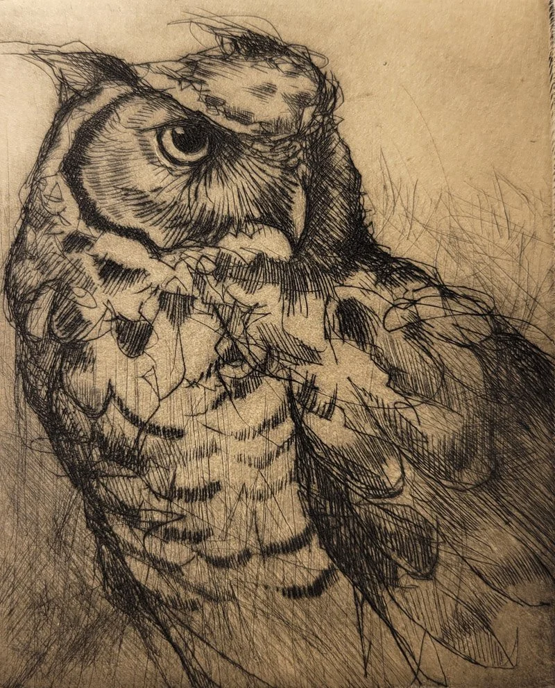We_Are_Somewhere__owl_.jpg