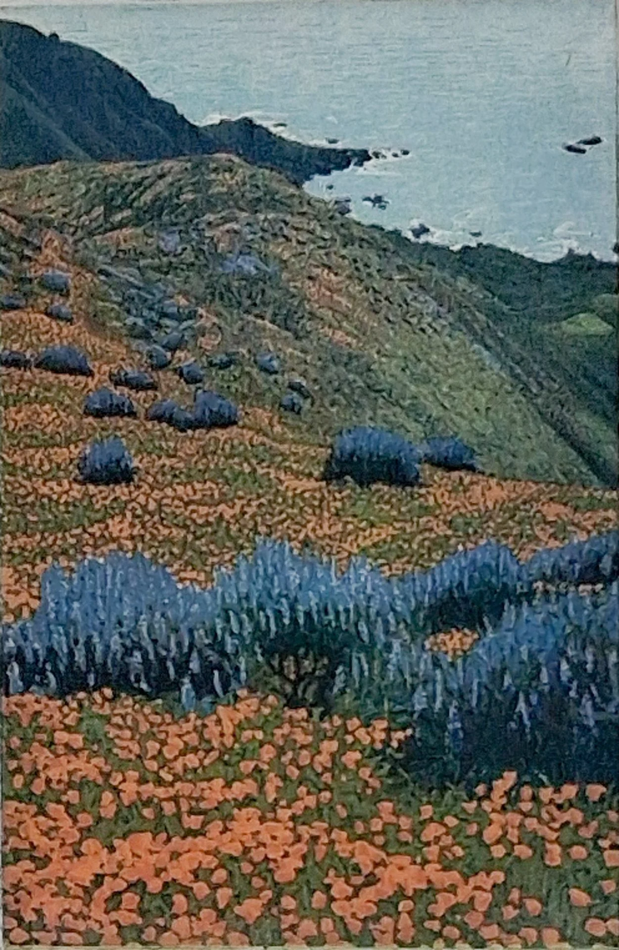 Pacific Highlands 103.jpg