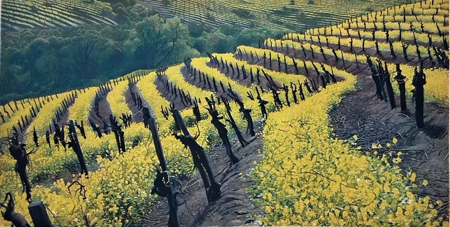 Wild Mustard #2, 165.jpg