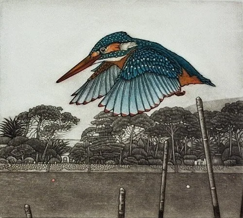 Kingfisher 2, 11.jpg