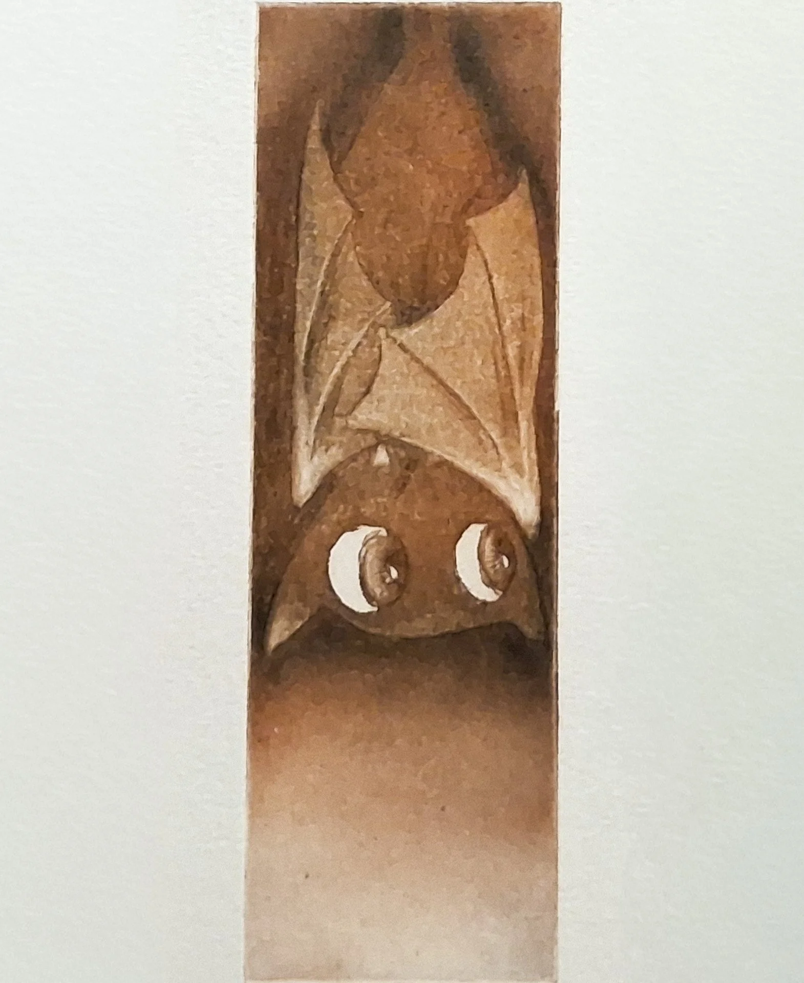 Small Creature 7,2.jpg