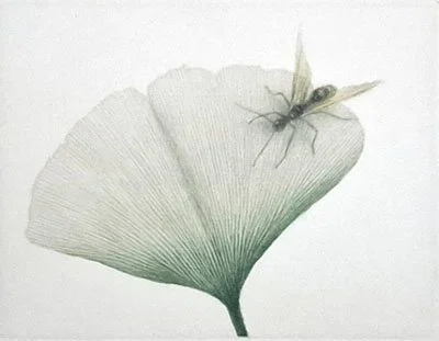 Au bord du vent, a color mezzotint of a green gingko leaf with an insect resting on it.