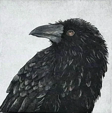 Raven