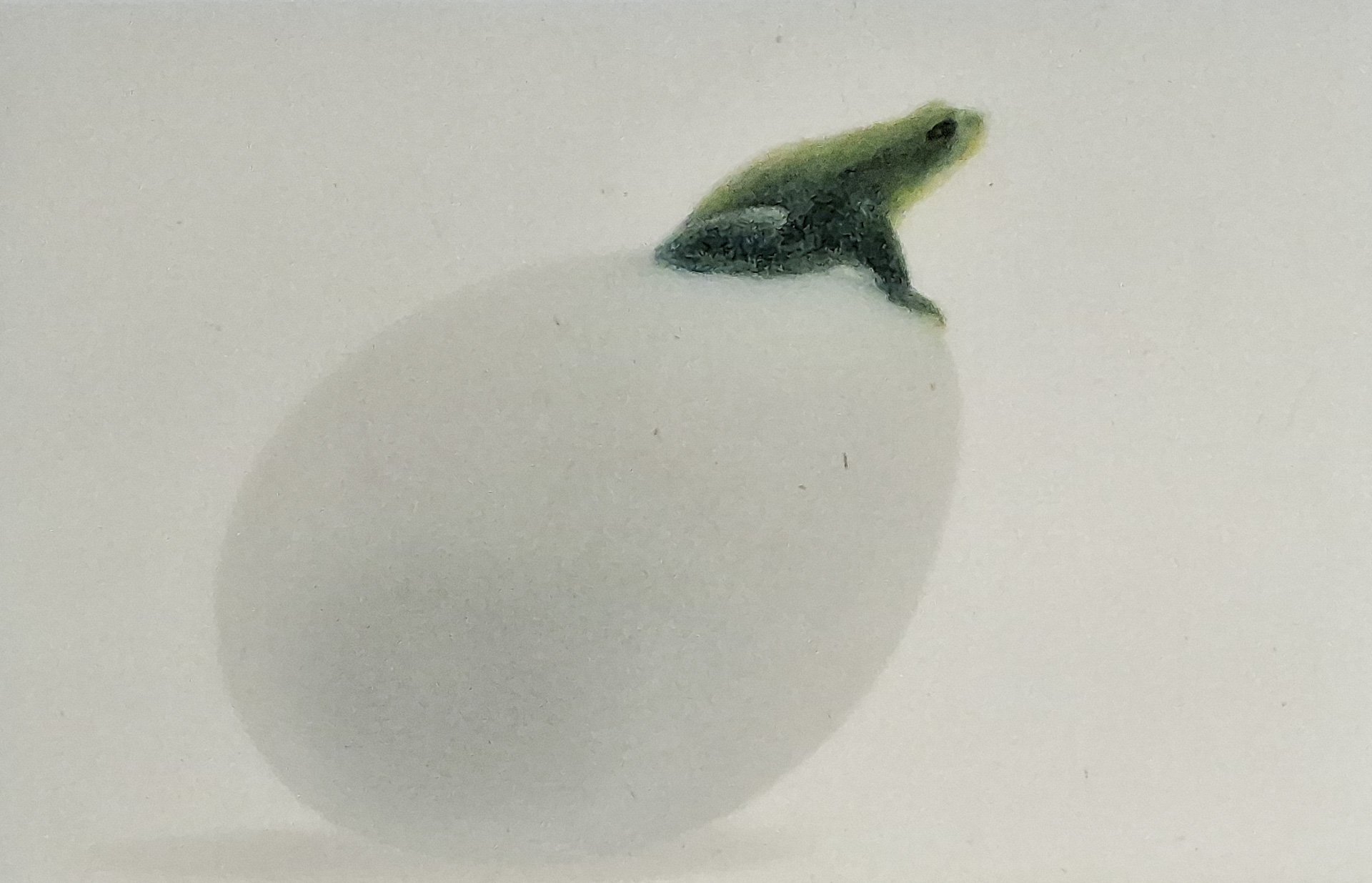 Oooeuf (Egg)