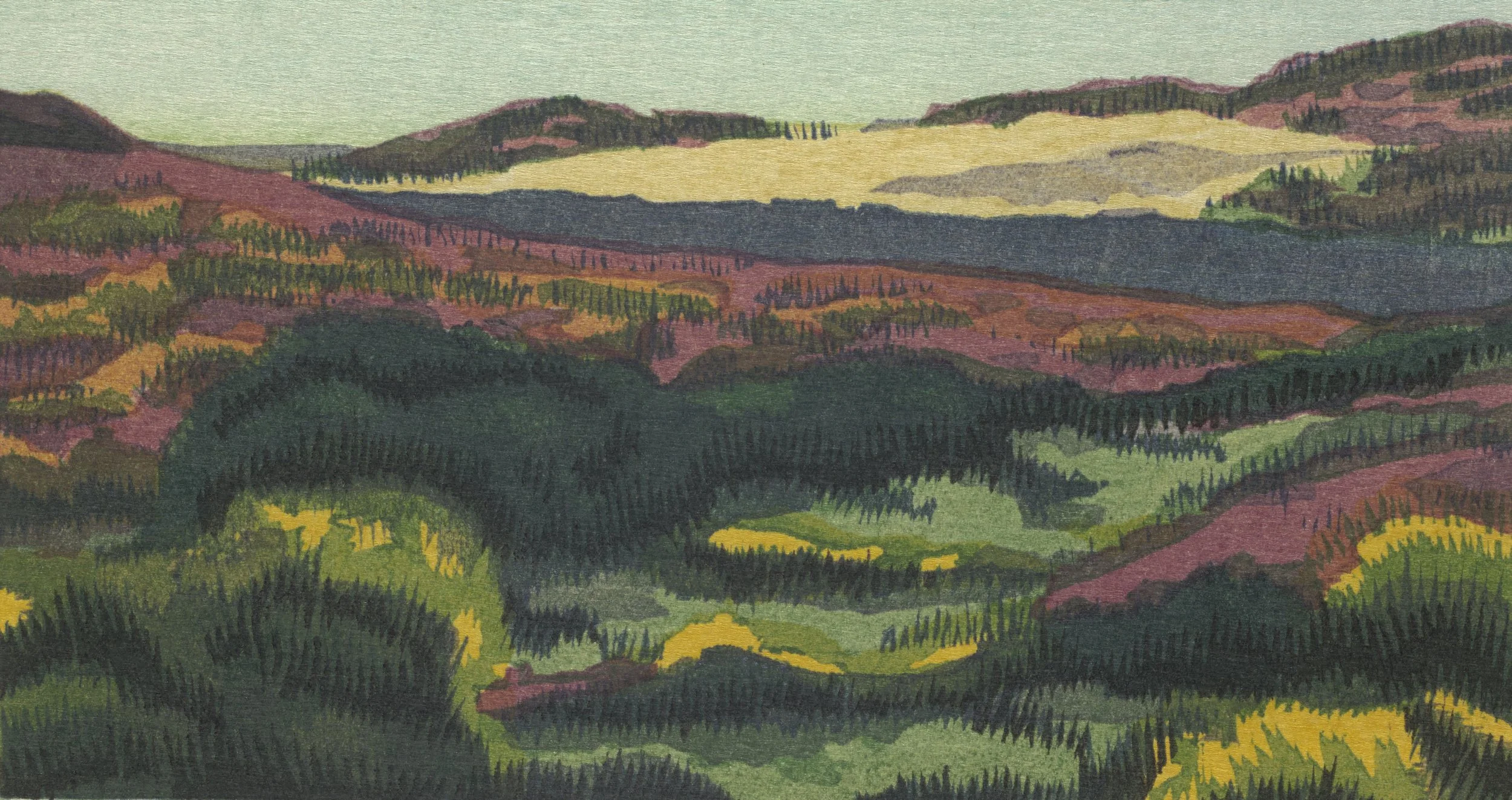 Point Reyes, Book I wood blocks by Micah Schwaberow Midday, Abbots Lagoon.jpg