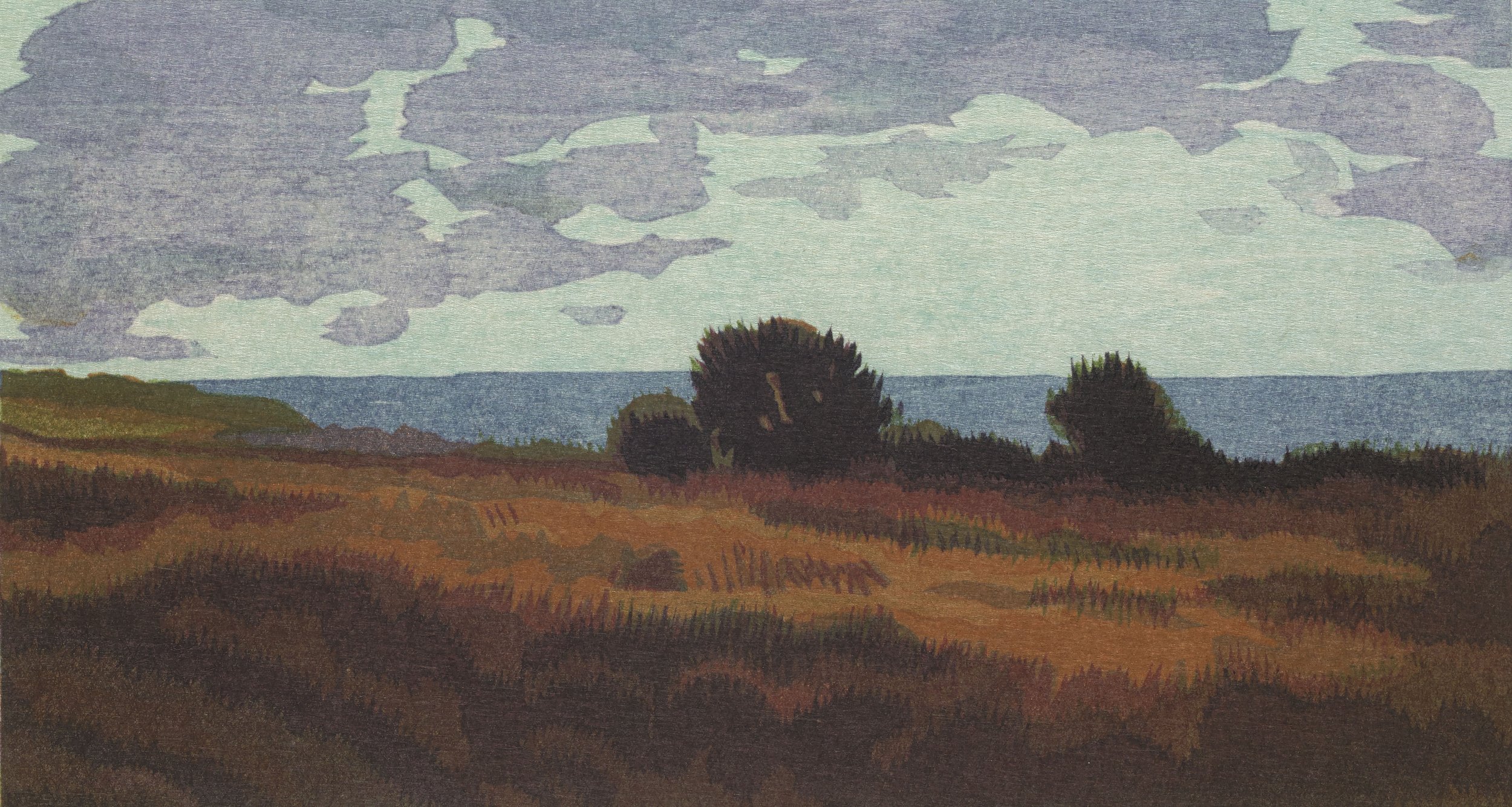 Point Reyes, Book I wood blocks by Micah Schwaberow Day's End, Limantour Bluff.jpg