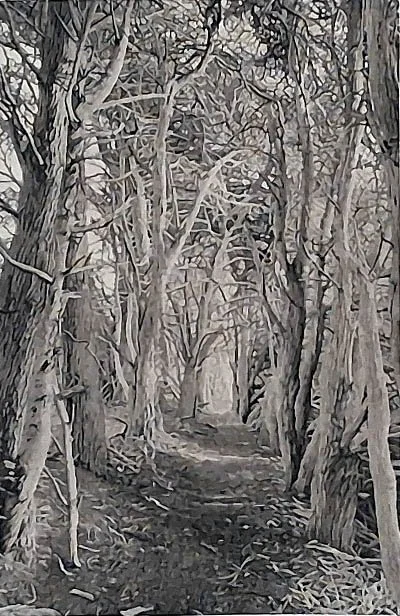 San Simeon Trail 11.jpg