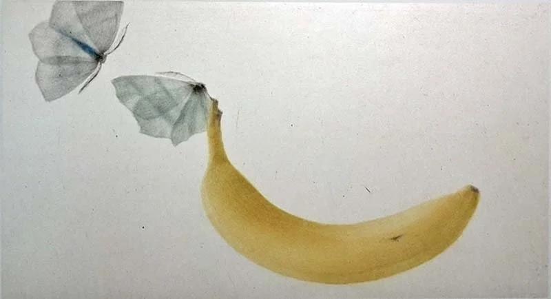 Une banane 43.jpg