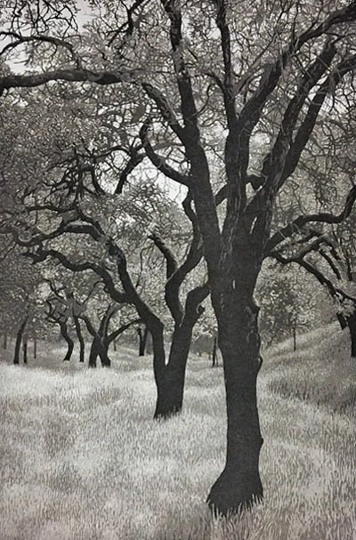 Summer Afternoon 2.jpg