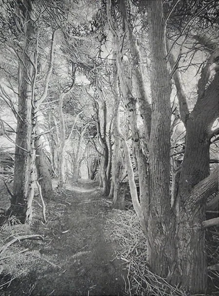 Cypress Trail 7 black edition.jpg