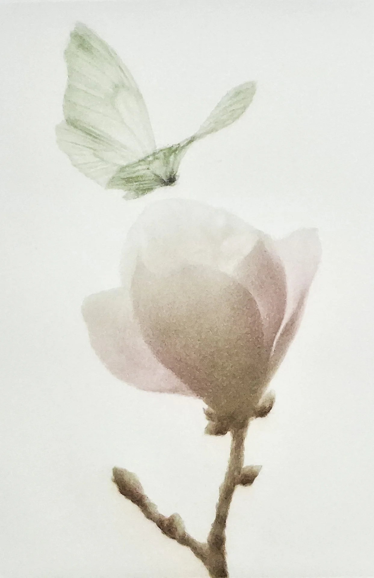 Souffle blanc (White Breath)