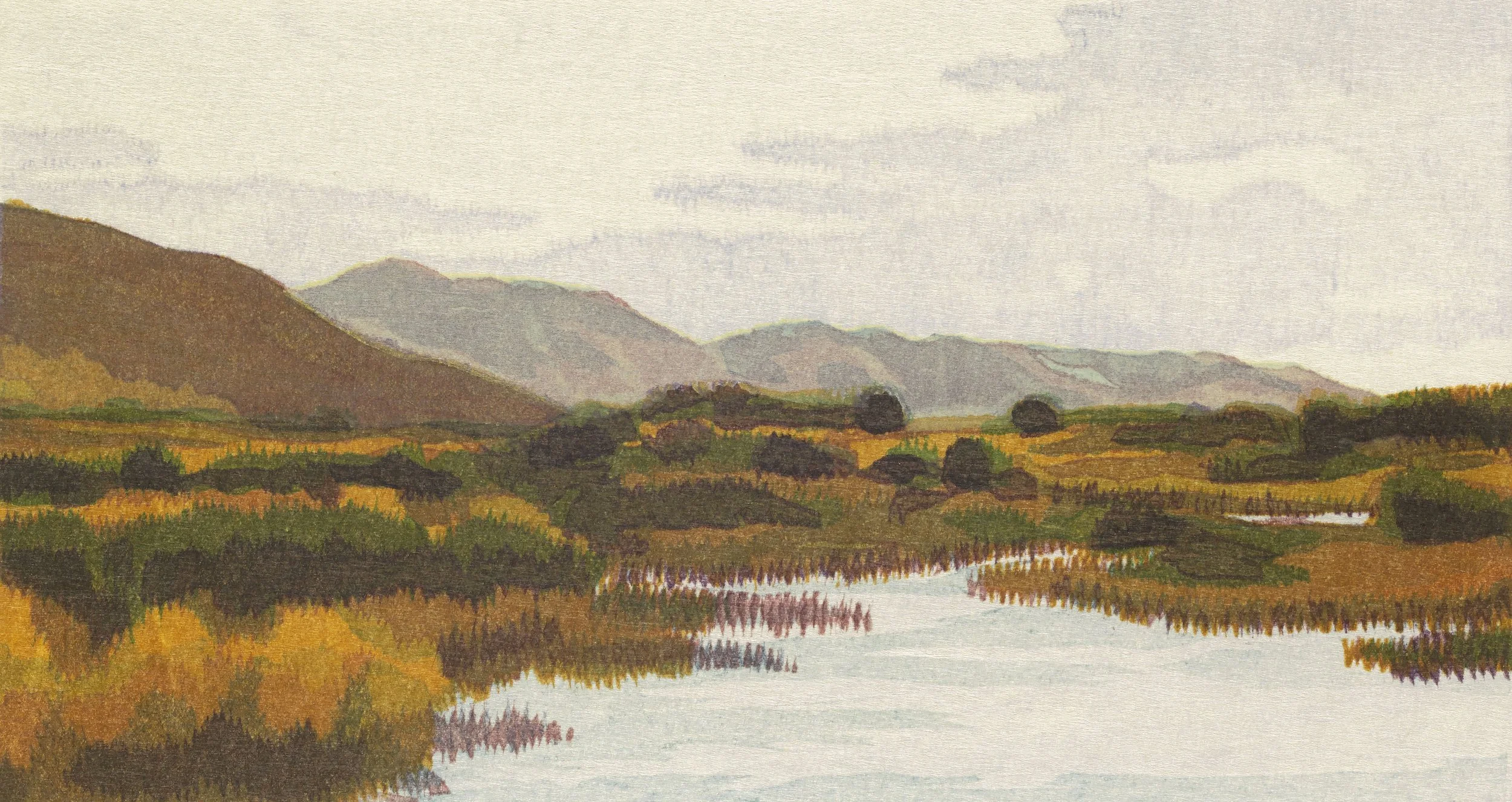 Point Reyes, Book I wood blocks by Micah Schwaberow Morning, Limantour Marsh.jpg