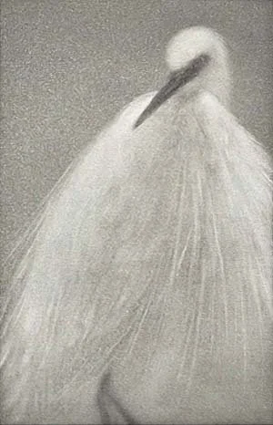 Feathered Light II 38.jpg