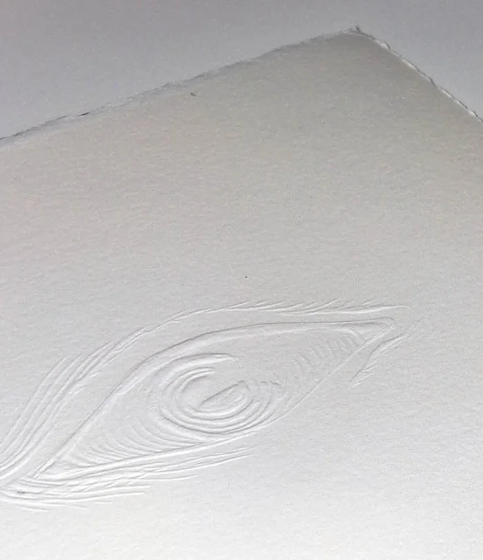 Orwell, 2026 by Nora Cornell, Mark Lintott and Judith Rothchild