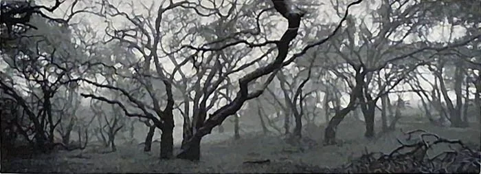 Petaluma Oaks 244, 2.jpg