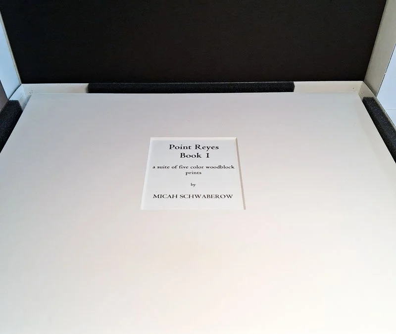 Point Reyes, Book I wood blocks by Micah Schwaberow