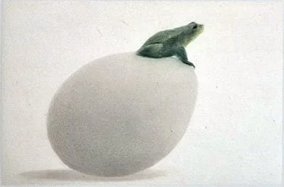 A frog sitting on top of a large egg.