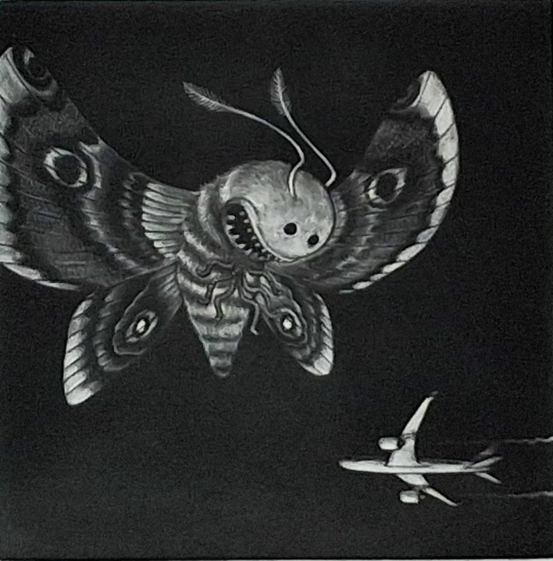 Vol de nuit 3.jpg