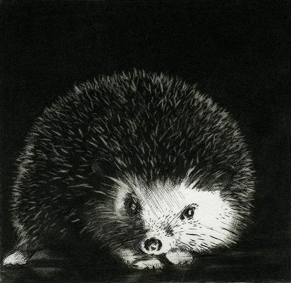 A black and white mezzotint of a young hedgehog , or herrisonlayered clothing and a shawl or blanket draped over their shoulders, in a barren landscape.