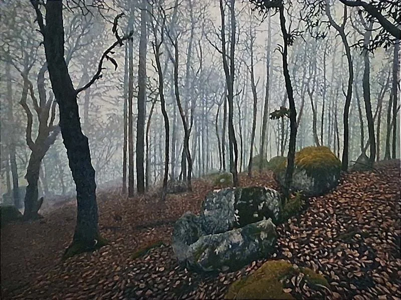 Ashland Woods AP II.jpg