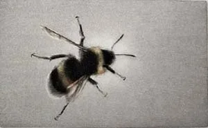 Un facteur (A Postman)