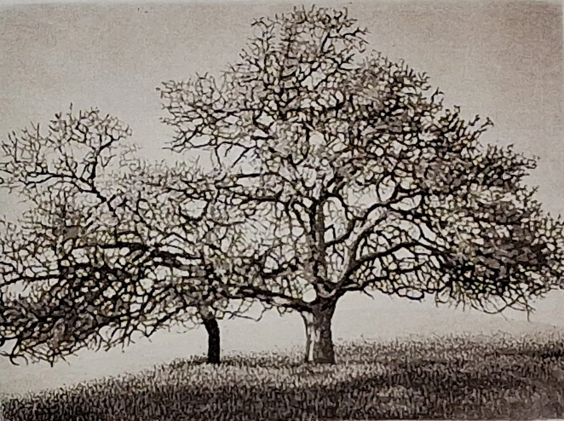 Pacific Oaks 92.jpg