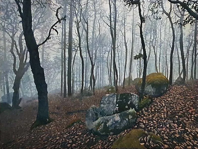 Ashland Woods AP III.jpg