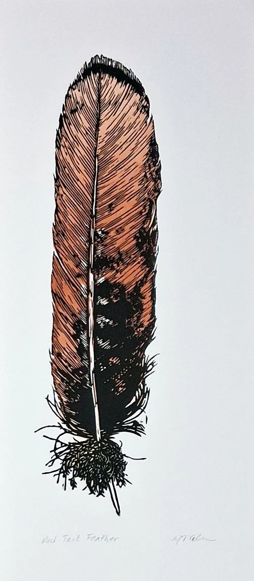 Red Tail Feather