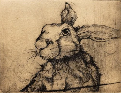 Sketch of a rabbit with one eye winking, long ears, and detailed fur.