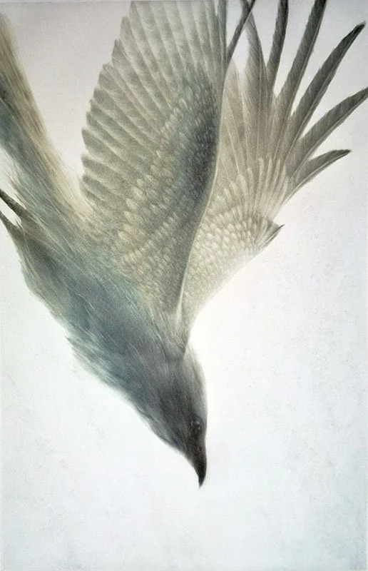 Lame d'air is a mezzotint by Mikio Watanabe of a diving bird