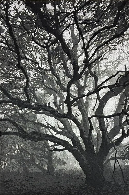 Winter Morning APXIII.jpg