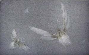 Premiere neige 50.jpg