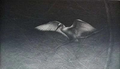 Le revers du monde I (The Other Side of the World I)