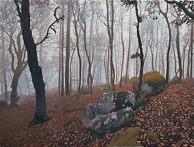 Ashland Woods APXII.jpg