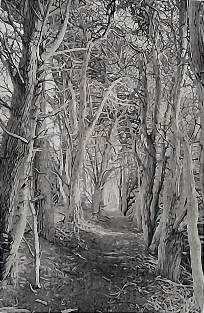 San Simeon Trail 14.jpg