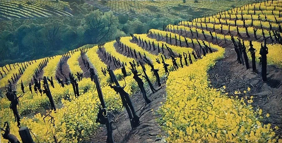 Wild Mustard #2, 166.jpg