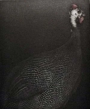 Pintade I (Guinea Hen)