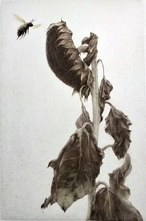 Fin d' ete (End of Summer)