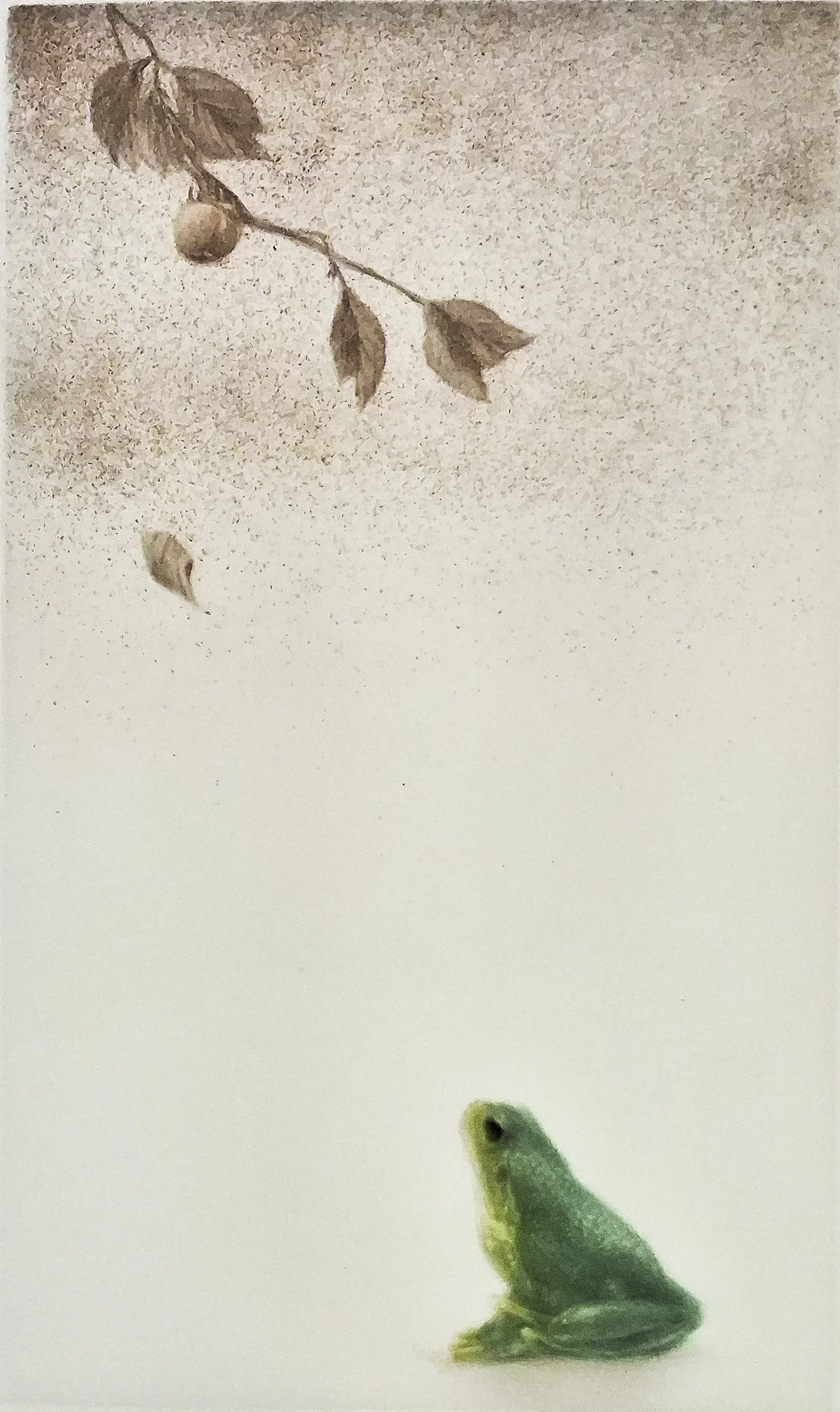Lingering Sunset 19 (2).jpg