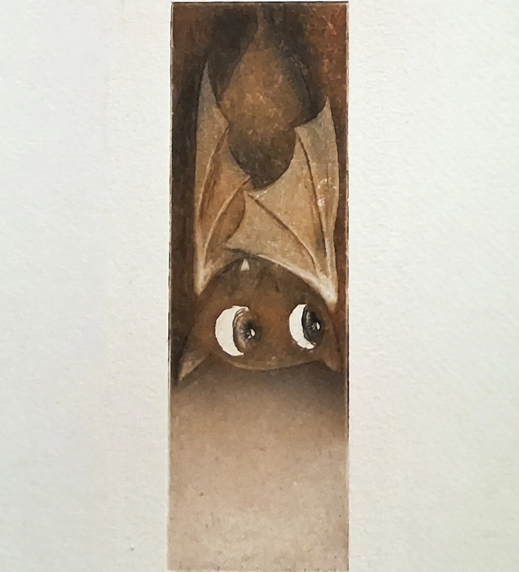 Small Creature 4,2.jpg