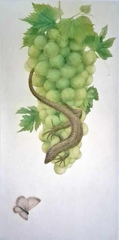 Échappée belle 16  .jpg