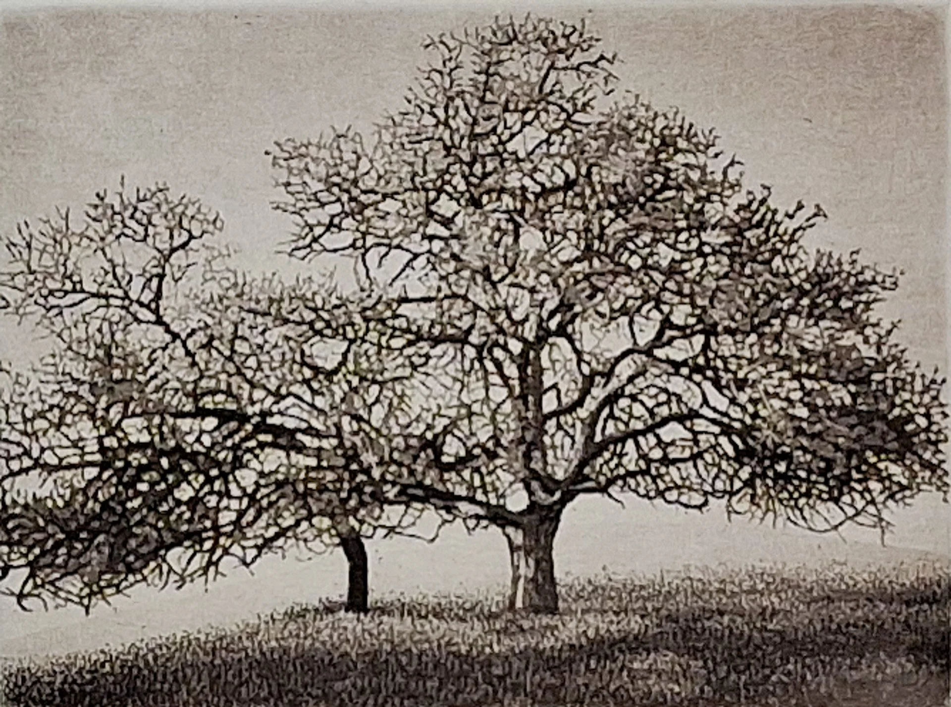 Pacific Oaks 91.jpg