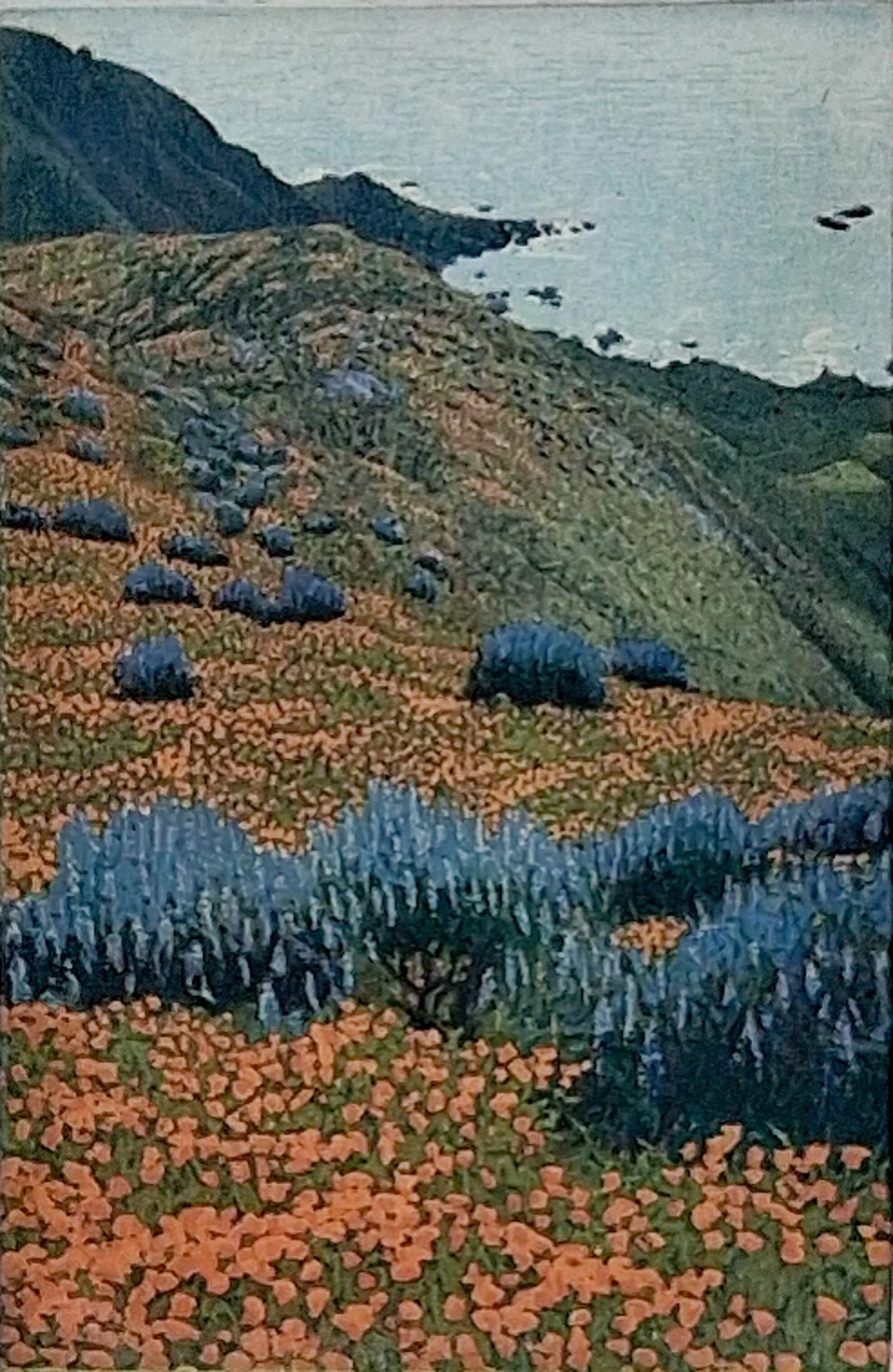 Pacific Highlands 104.jpg